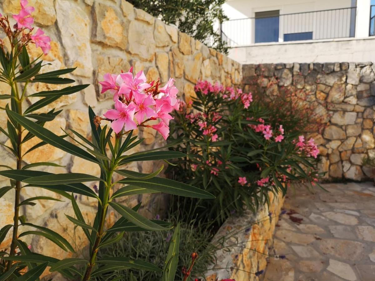 Apartment Klara Primošten Exterior foto
